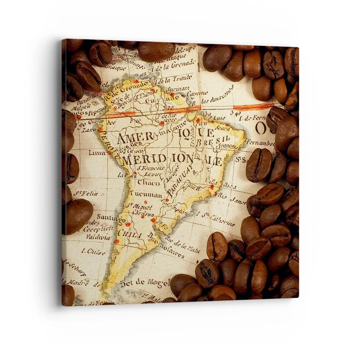 Tablou pe pânză - De unde provine cea mai bună cafea? - 40x40 cm