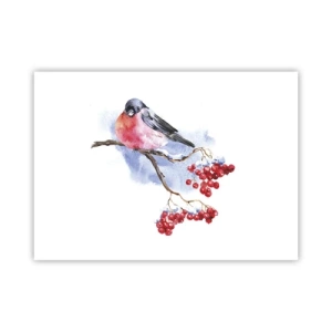 Poster - Iarna în culori - 70x50 cm