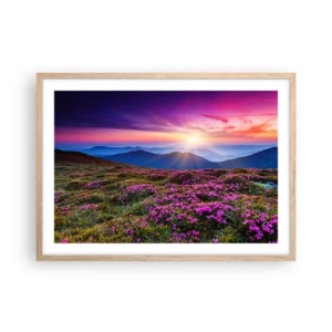 Poster în ramă de stejar deschis - Ierburile proaspete miroseau puternic - 70x50 cm