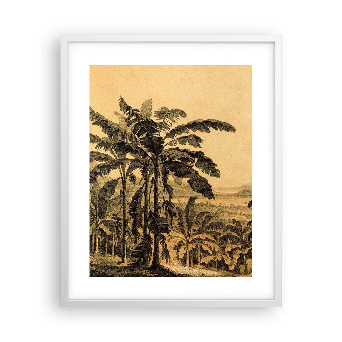 Poster în ramă albă - În stil colonial - 40x50 cm