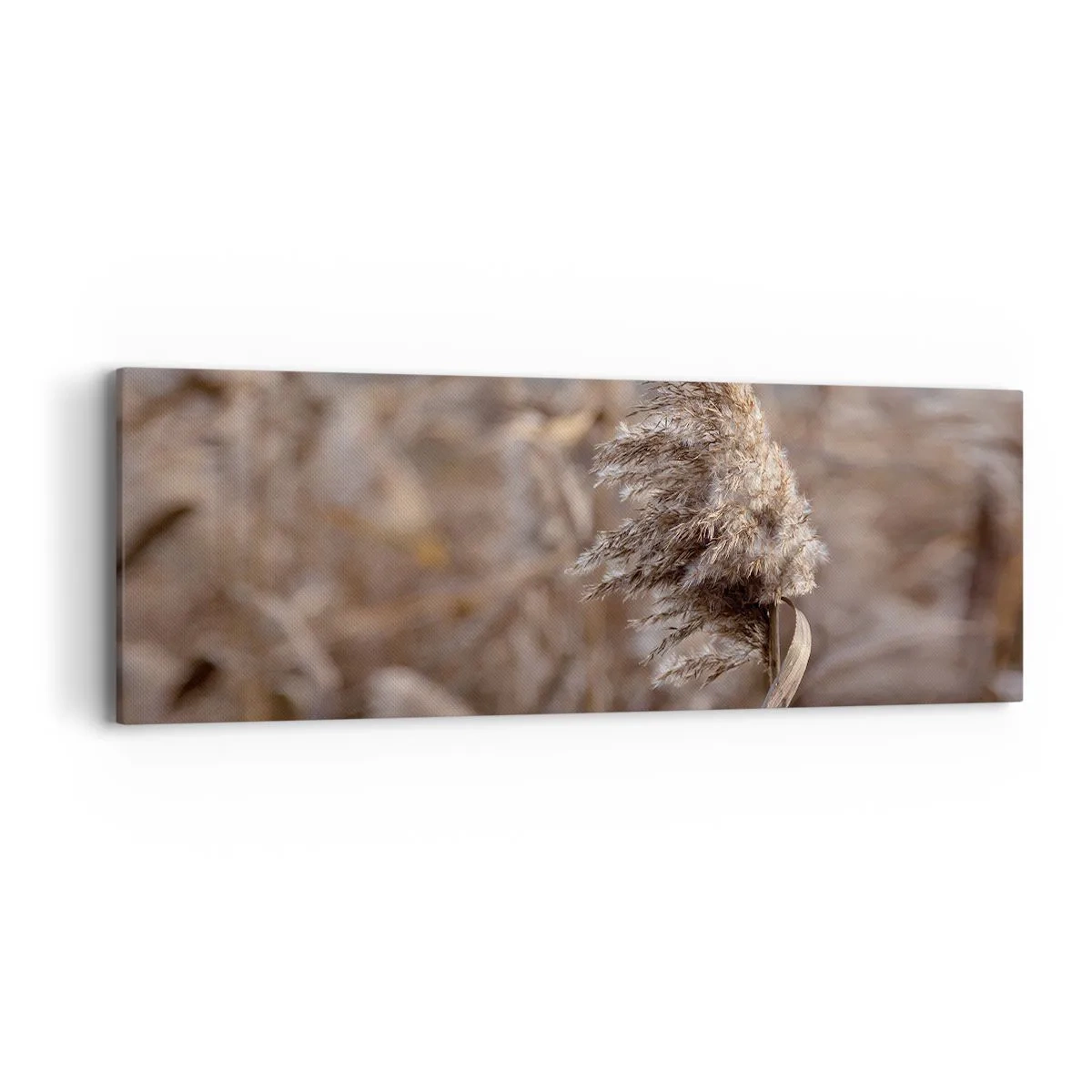 Tablou pe pânză - E timpul să zbori cu vântul - 90x30 cm