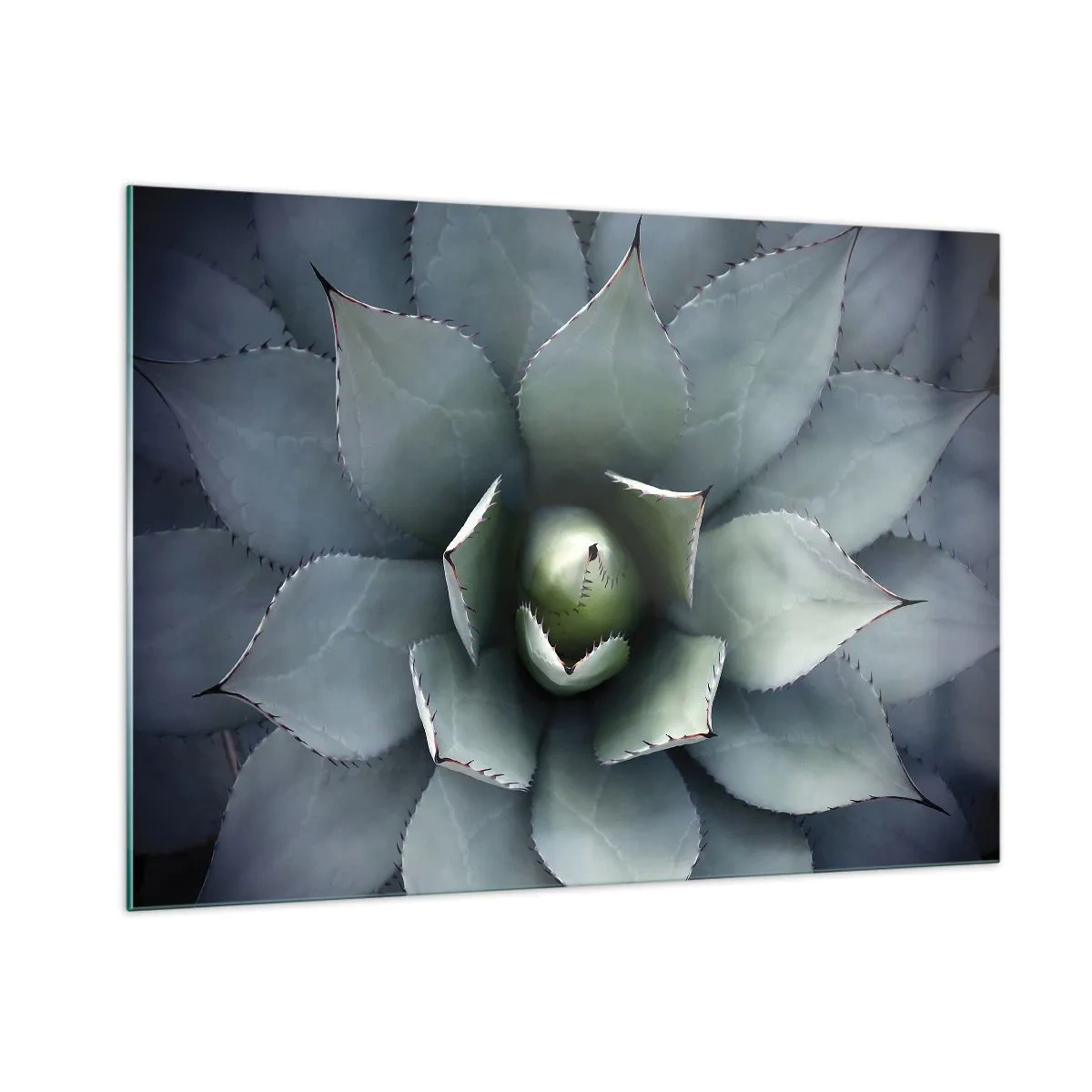 Tablou pe sticlă - Momește și avertizează - 100x70 cm