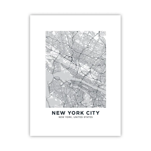 Poster - Anatomia unei metropole - 30x40 cm