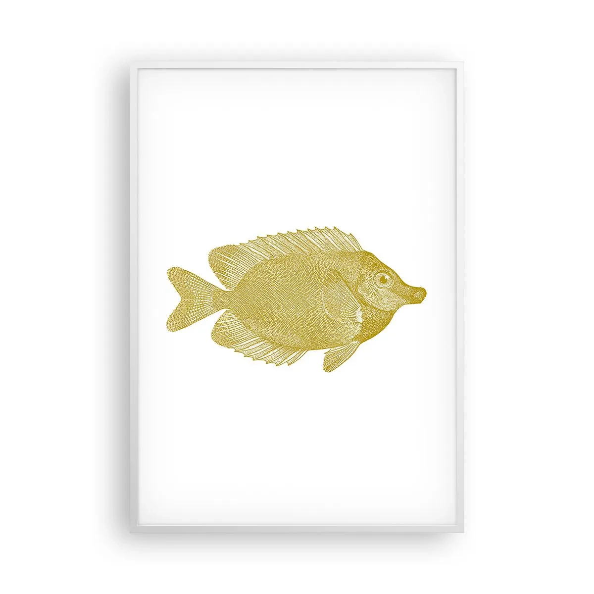 Poster în ramă albă - Pește și atât - 70x100 cm