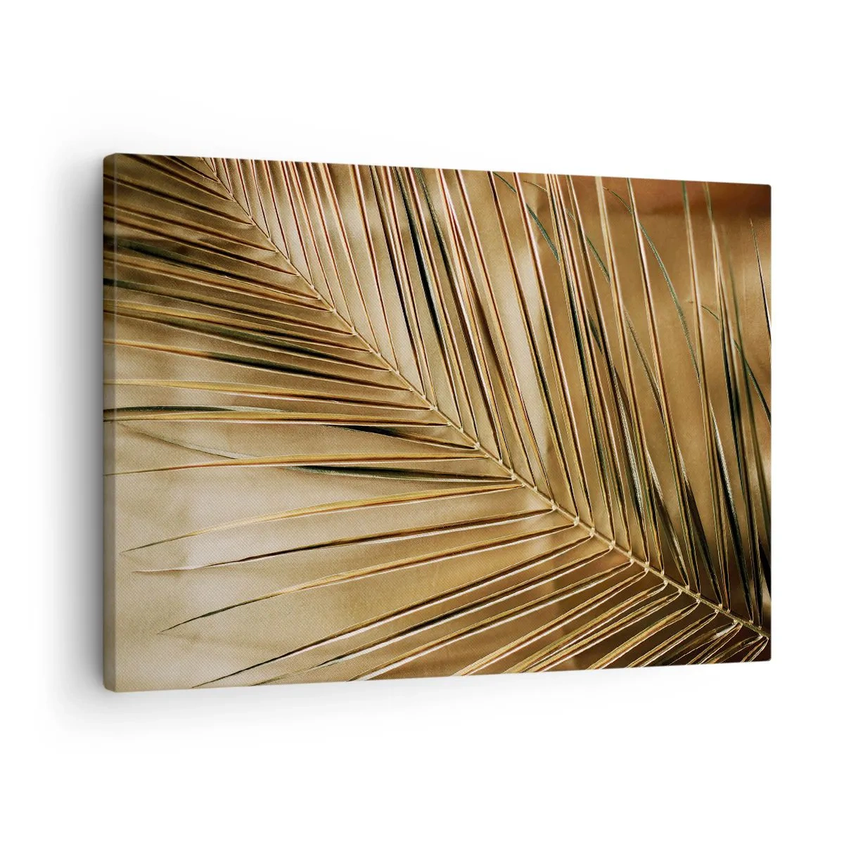 Tablou pe pânză - Colonadă naturală - 70x50 cm