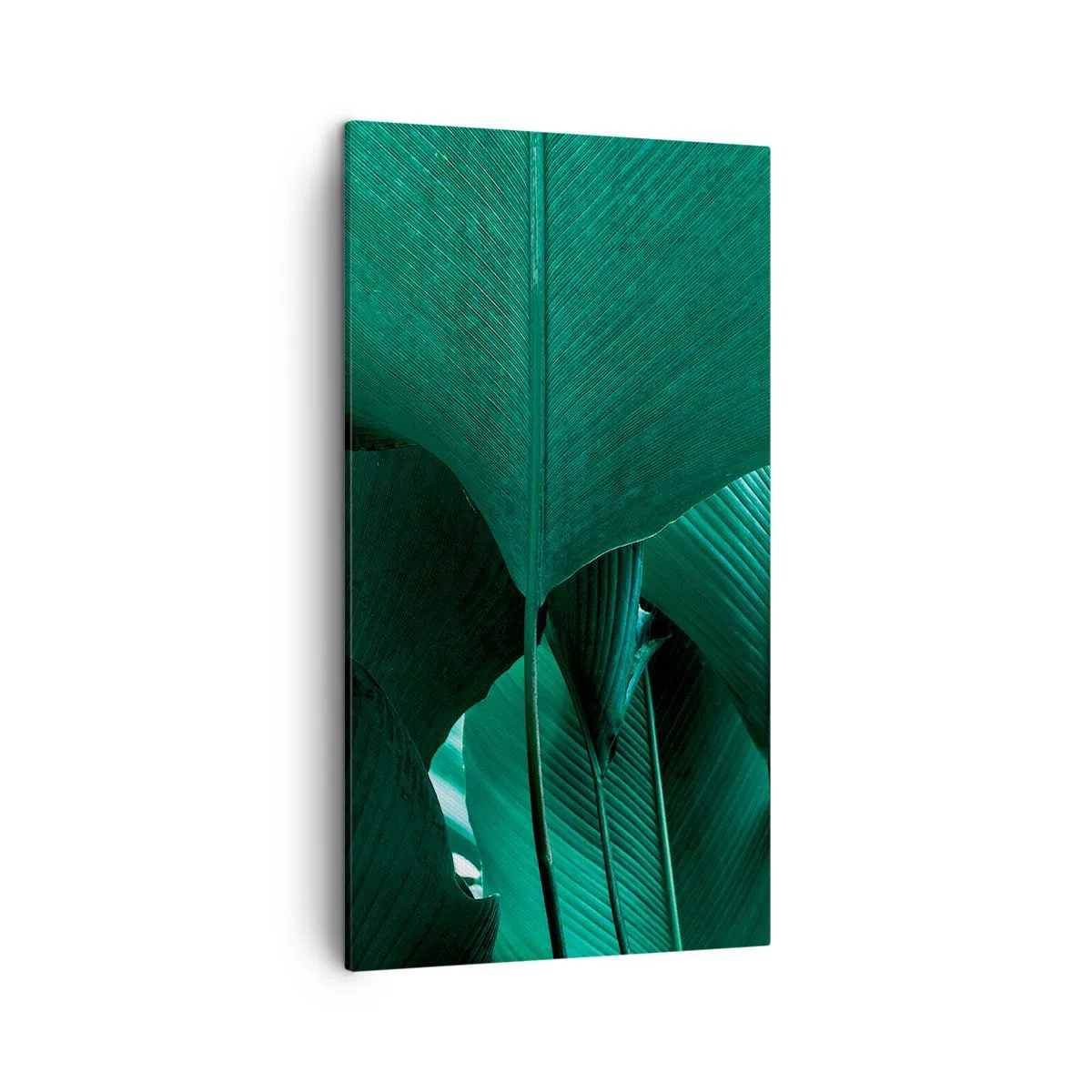 Tablou pe pânză - Cu frunza la lumină - 45x80 cm