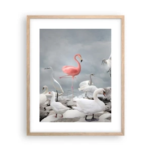 Poster în ramă de stejar deschis - De unde am venit? - 40x50 cm