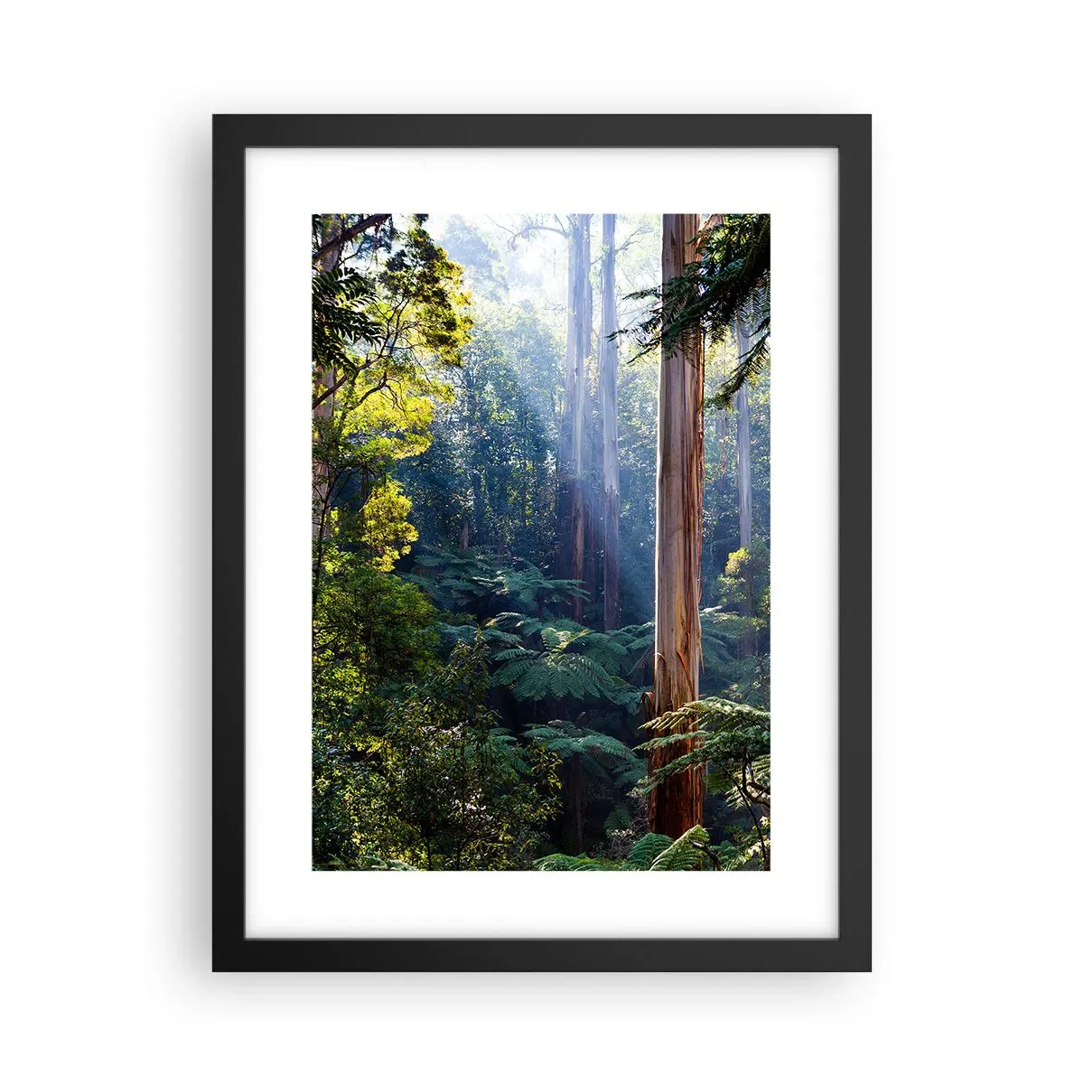 Poster în ramă neagră - O poveste din pădure - 30x40 cm