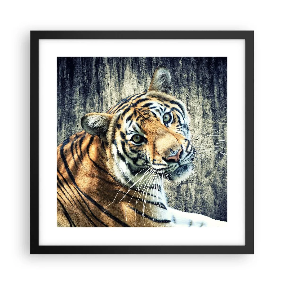 Poster în ramă neagră - Portret în fluxuri de lumină - 40x40 cm