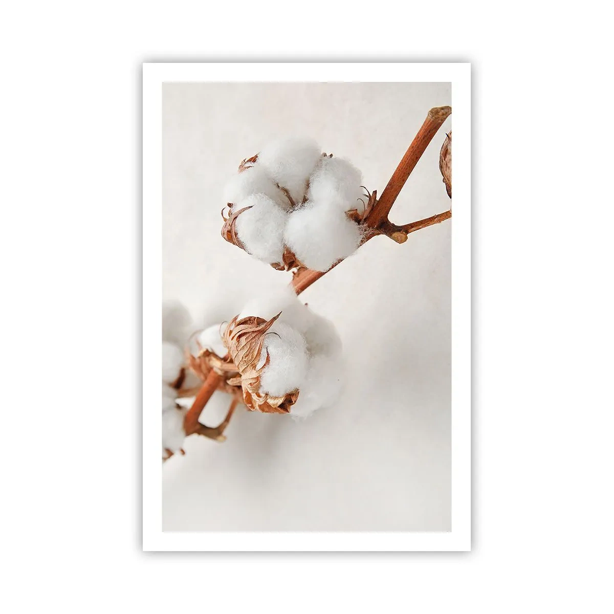 Poster - Numai îmbrățișări - 61x91 cm