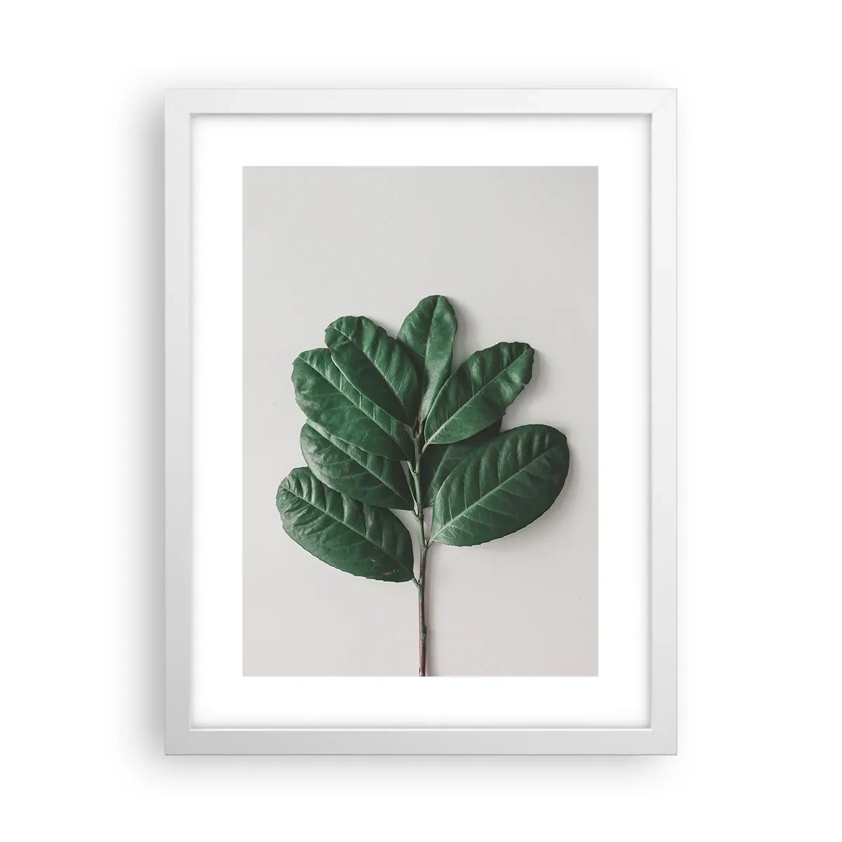 Poster în ramă albă - Desenul naturii însăși - 30x40 cm