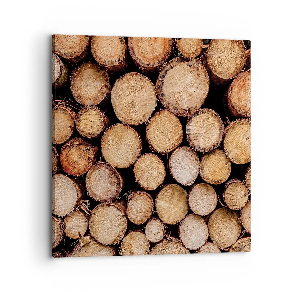 Tablou pe pânză - Un nou început - 70x70 cm