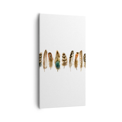 Tablou pe pânză - Variație cu pene - 55x100 cm