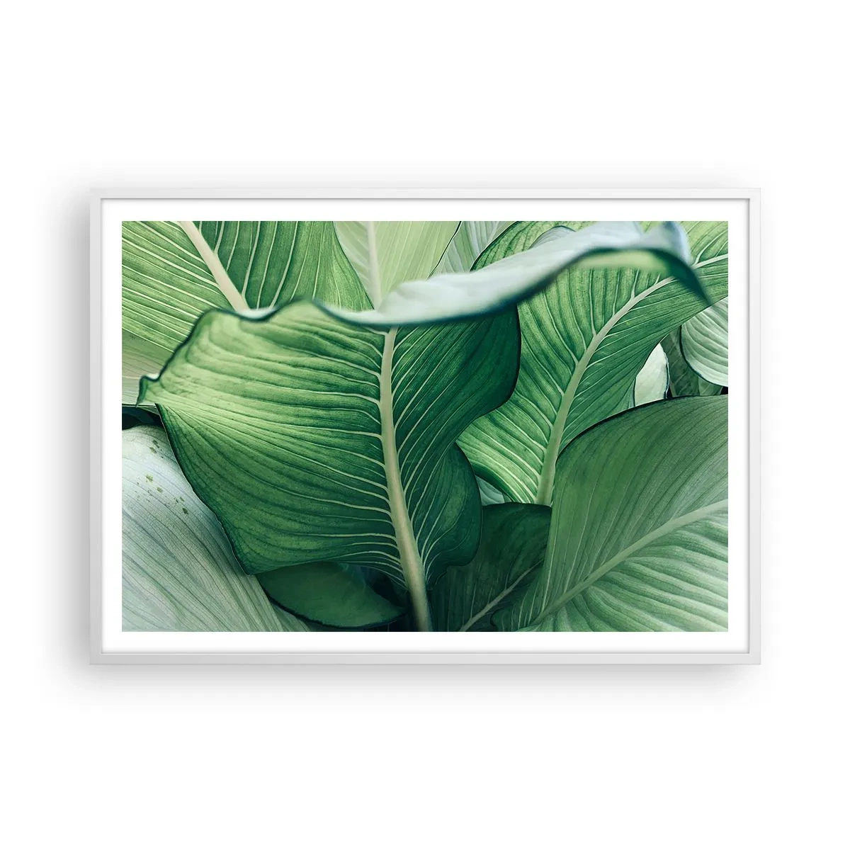 Poster în ramă albă - Viață intensă în verde - 100x70 cm
