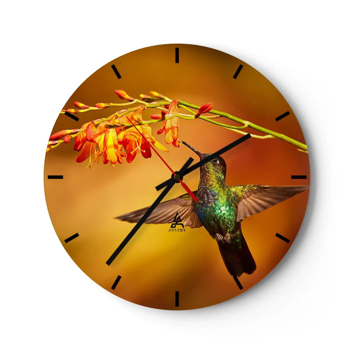 Ceas de perete - Ceas pe sticlă - O colibri hrănindu-se din flori în lumina caldă - 30x30cm - Mesagerul mayaș al luminii - Decorațiune modernă pentru perete pentru living, bucătărie și dormitor ARTTOR