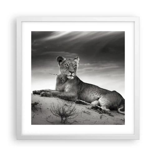 Poster în ramă albă - Odihna reginei deșertului - 40x40 cm