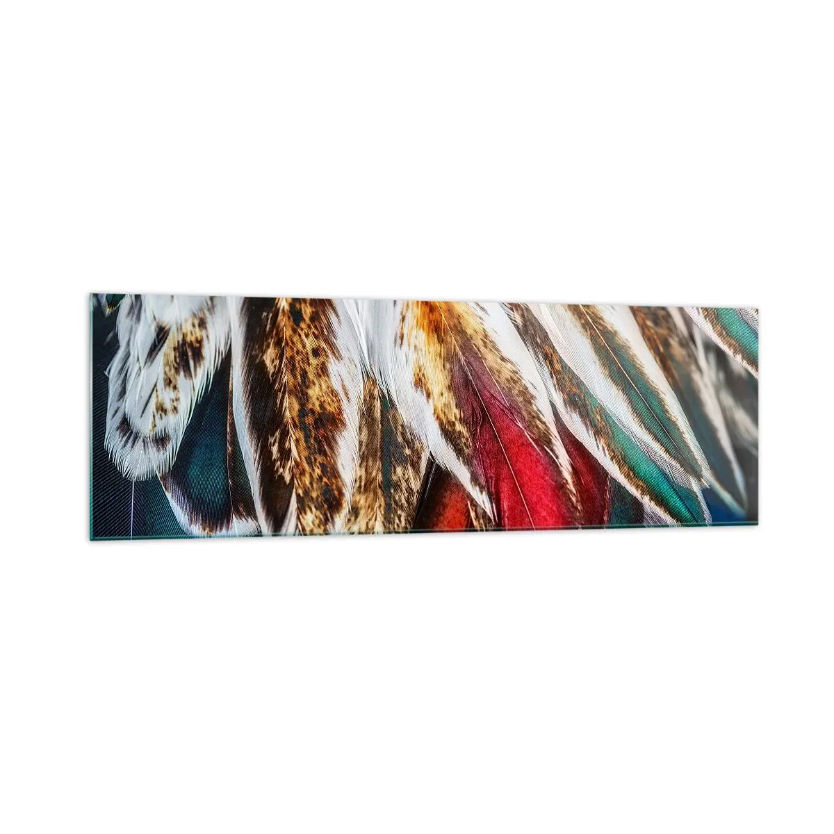 Tablou pe sticlă - Secretele zborului - 160x50 cm