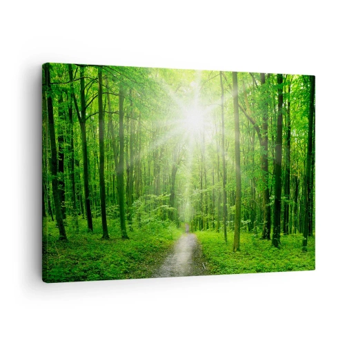Tablou pe pânză Canvas - Cale în pădure cu raze de soare - 70x50cm - Catedrala verde - Decorațiune modernă pentru perete pentru living și dormitor ARTTOR