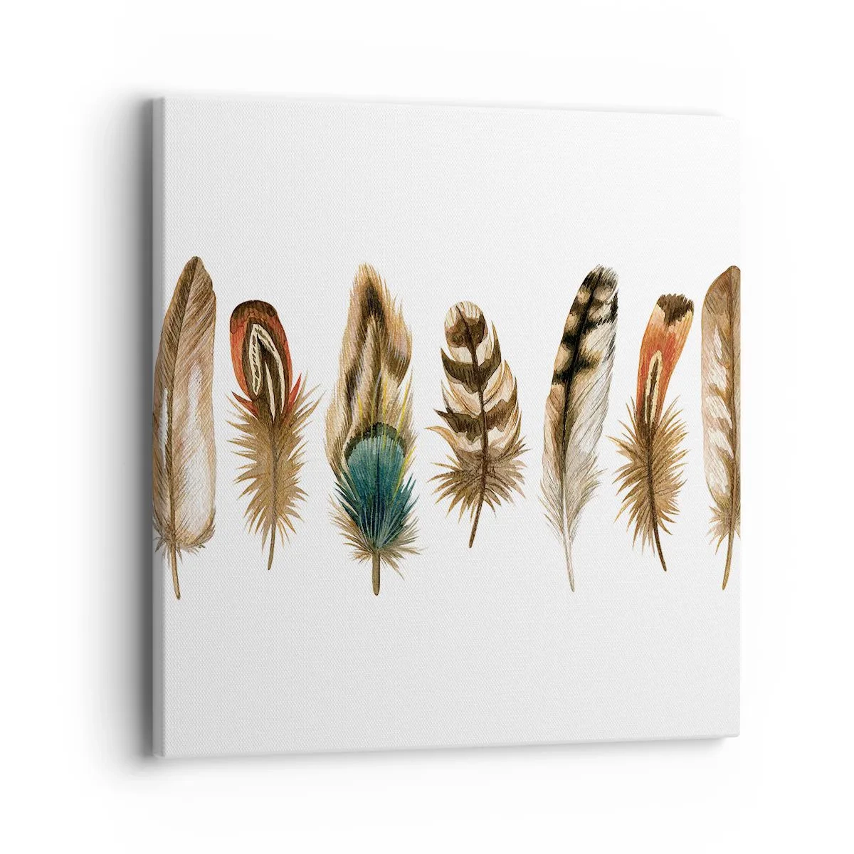 Tablou pe pânză - Variație cu pene - 40x40 cm