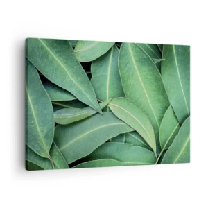 Tablou pe pânză Canvas - Prim-plan cu frunze verzi care creează un model natural - 70x50cm - Suculente și proaspete - Decorațiune modernă pentru perete pentru living și dormitor ARTTOR