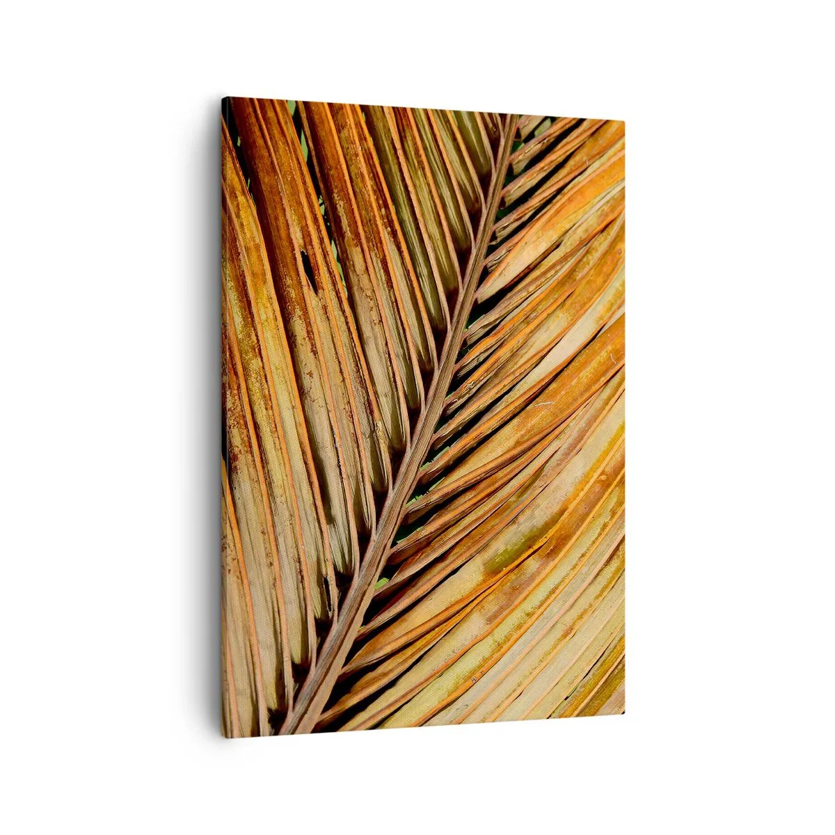 Tablou pe pânză - Aur de nucă de cocos - 50x70 cm