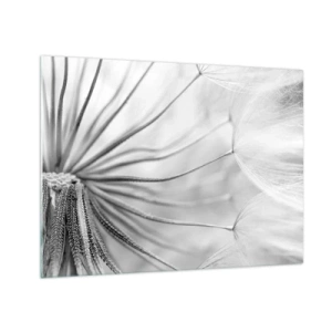 Tablou pe sticlă - Fotografie macro a unei păpădii în nuanțe de alb-negru - 70x50cm - Suflarea zmeilor - Decorațiune modernă pentru perete pentru living și dormitor ARTTOR