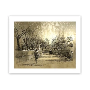 Poster - Un moment reținut cu pene - 50x40 cm