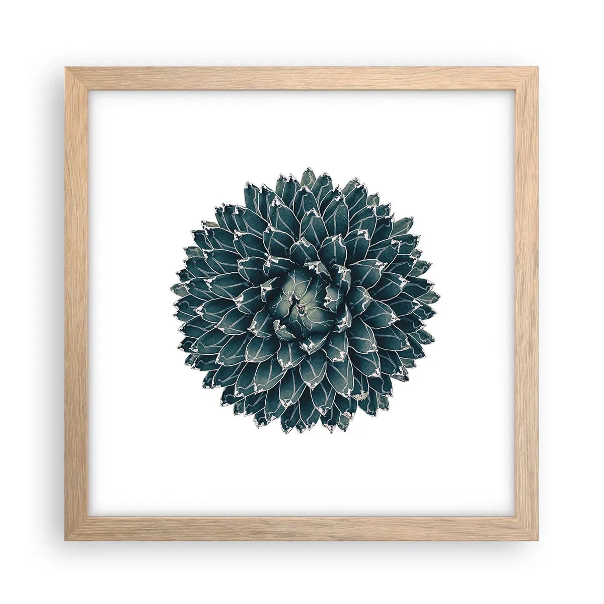 Poster în ramă de stejar deschis - Steaua deșertului - 30x30 cm