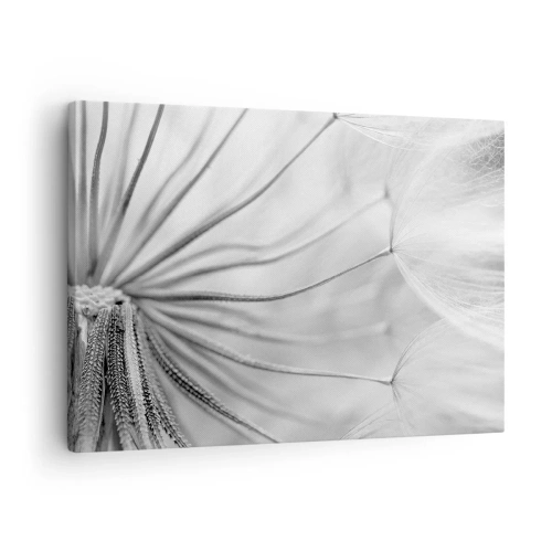 Tablou pe pânză Canvas - Păpădii delicate în tonuri de alb și negru - 70x50cm - Suflarea zmeilor - Decorațiune modernă pentru perete pentru living și dormitor ARTTOR