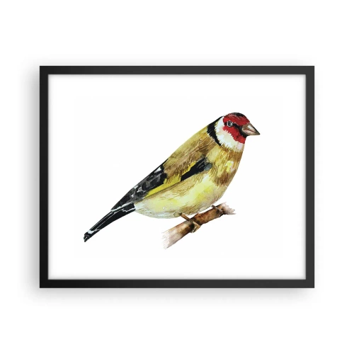 Poster în ramă neagră - Portret de pasăre - 50x40 cm