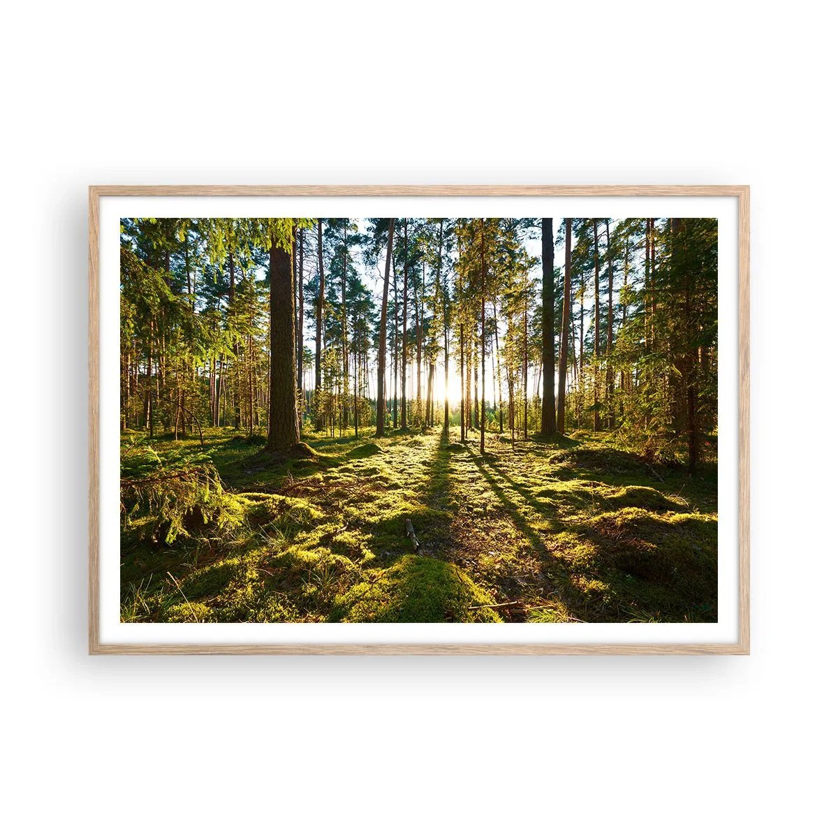 Poster în ramă de stejar deschis - Pădurea misterioasă - 100x70 cm