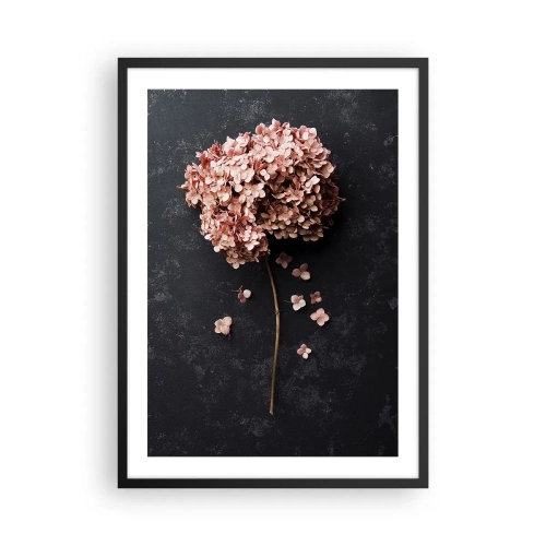 Poster în ramă neagră - Hortensie uscată pe fundal negru - 50x70cm - Un semn cu adevărat romantic - Decorațiune modernă pentru perete pentru living și dormitor ARTTOR