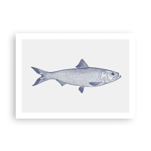 Poster - Salutări din mările nordice - 70x50 cm