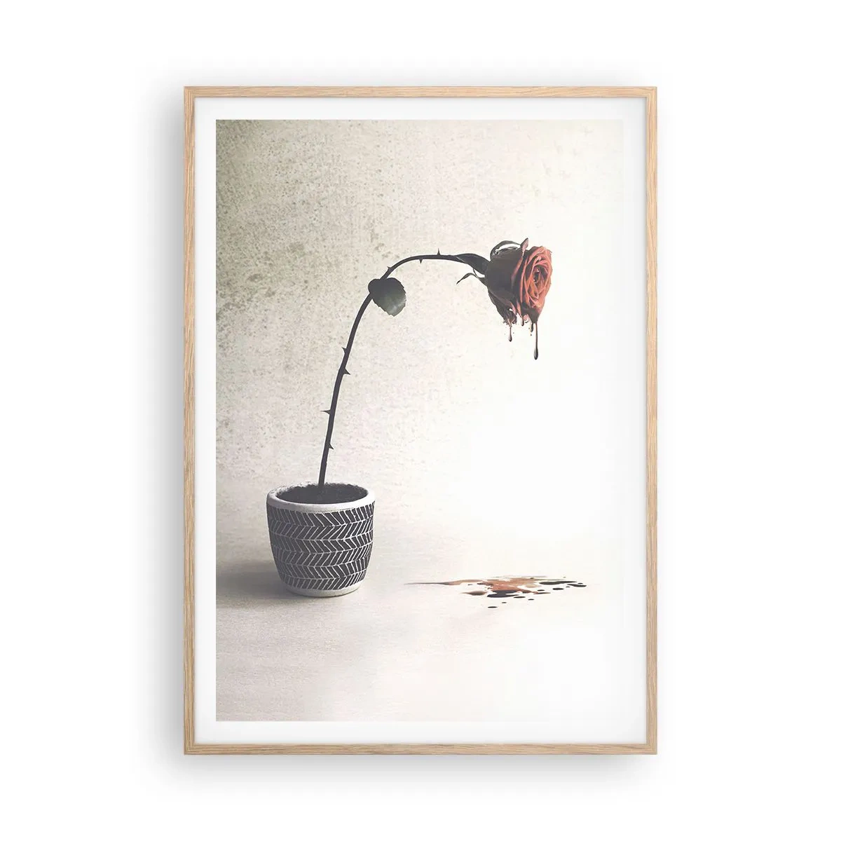 Poster în ramă de stejar deschis - Rosa dolorosa - 70x100 cm