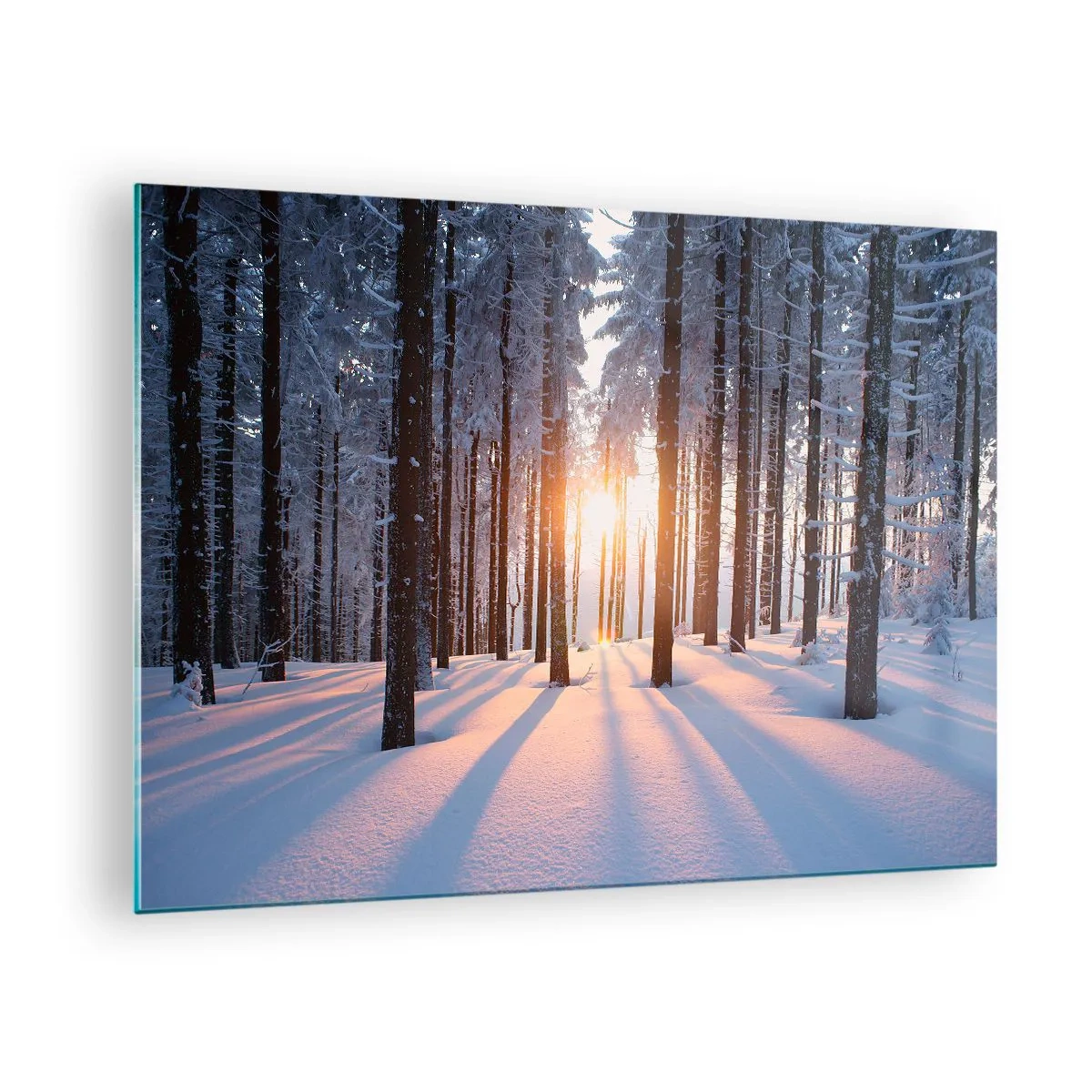 Tablou pe sticlă - Pădure de iarnă cu raze de soare strălucind printre copaci - 70x50cm - În mod clar în alb și negru - Decorațiune modernă pentru perete pentru living și dormitor ARTTOR