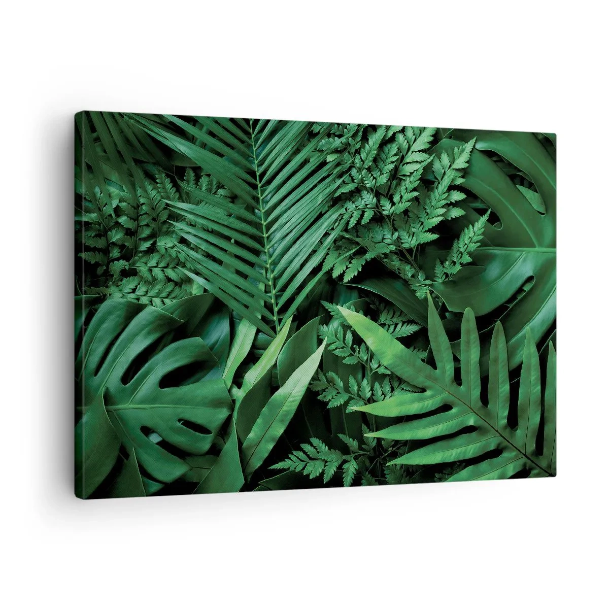 Tablou pe pânză Canvas - Frunze tropicale verzi într-o compoziție densă și naturală - 70x50cm - Înfășurate în verde - Decorațiune modernă pentru perete pentru living și dormitor ARTTOR