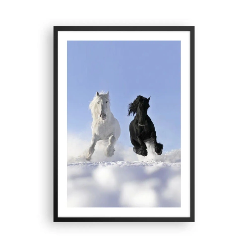 Poster în ramă neagră - Un cal alb și negru galopând în zăpadă - 50x70cm - Galop de alb și negru - Decorațiune modernă pentru perete pentru living și dormitor ARTTOR