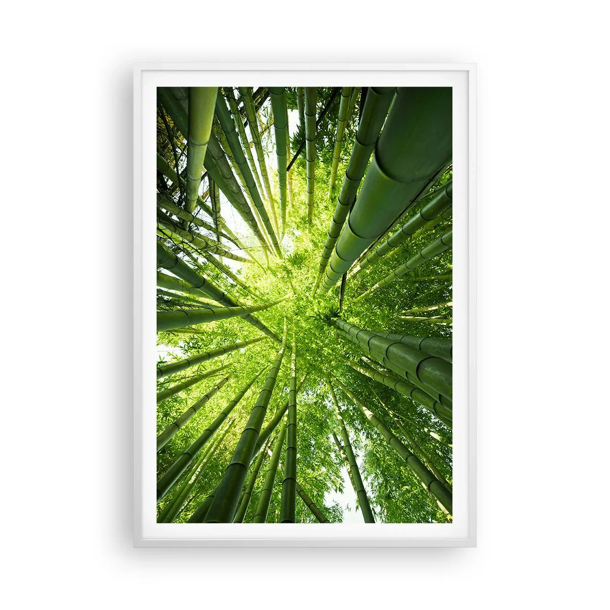 Poster în ramă albă - Într-o pădure de bambus - 70x100 cm