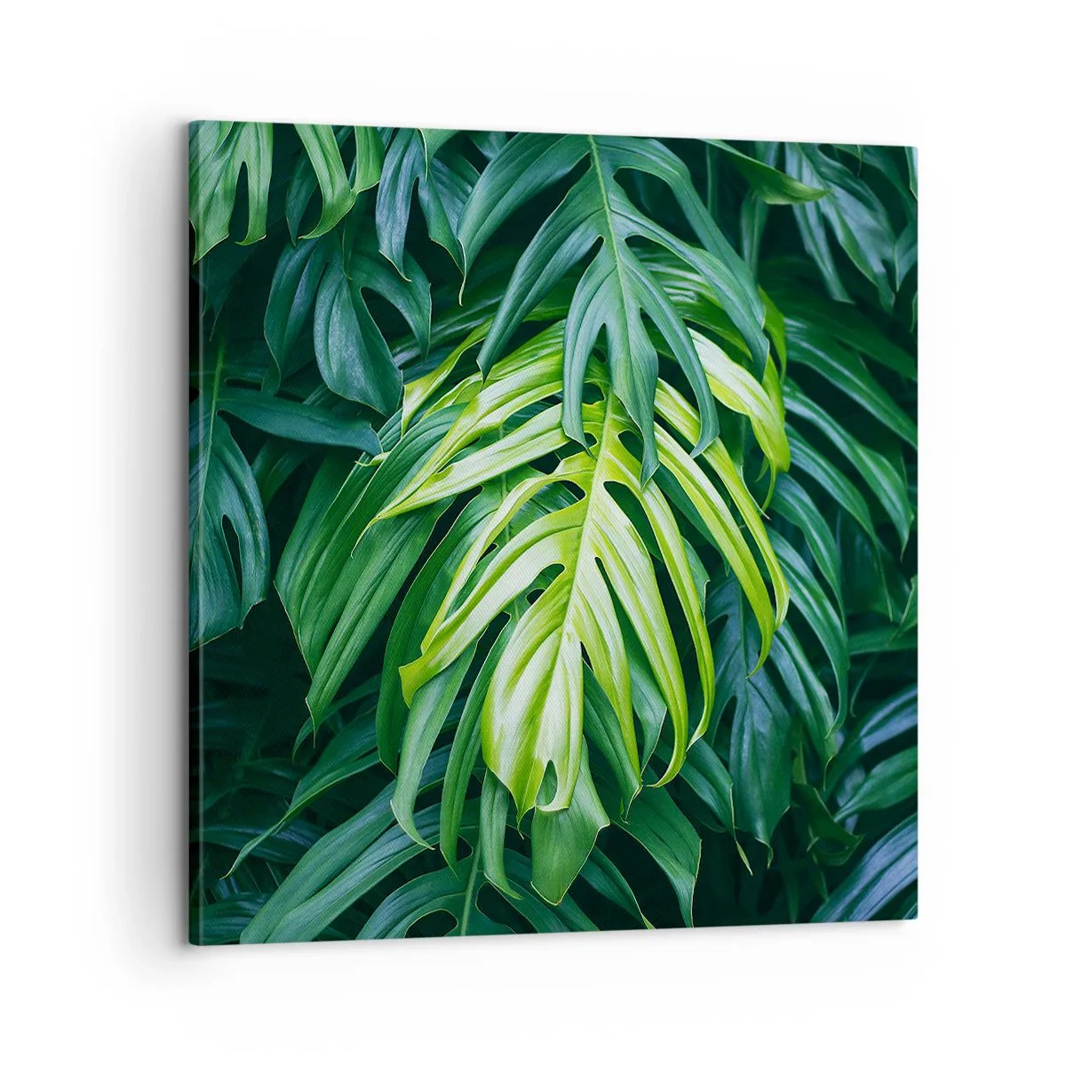 Tablou pe pânză - Scufundă-te în prospețime - 60x60 cm