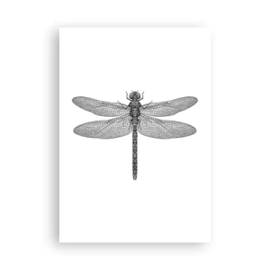 Poster - Precizia naturii - 70x100 cm