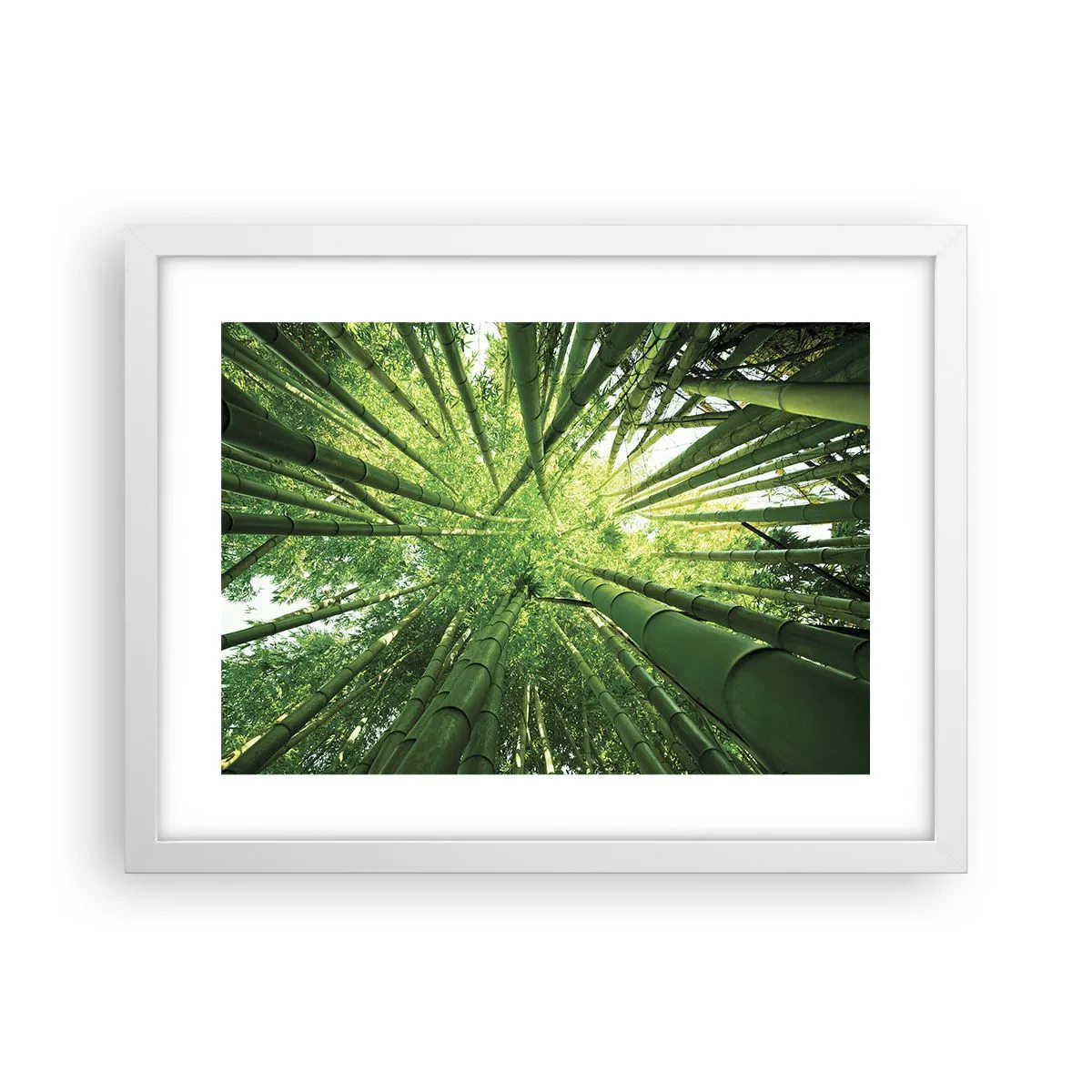 Poster în ramă albă - Într-o pădure de bambus - 40x30 cm