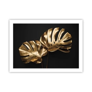 Poster - Comorile naturii - 70x50 cm