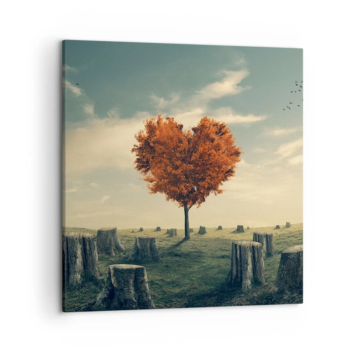 Tablou pe pânză - Încă mai există speranță - 50x50 cm