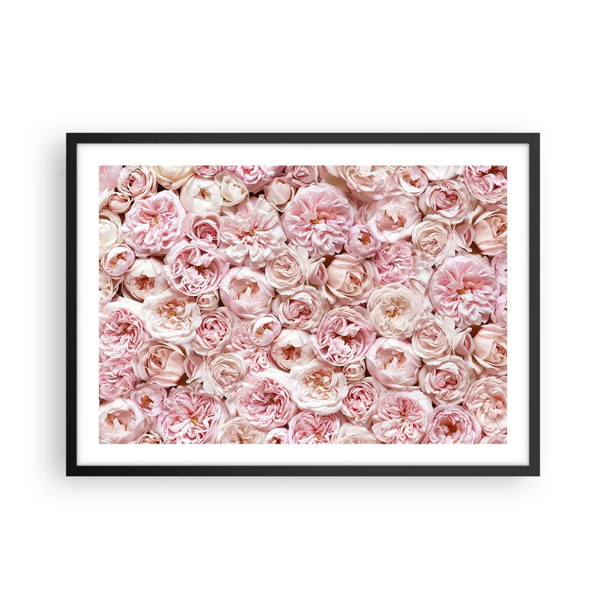 Poster în ramă neagră - Presărat cu trandafiri - 70x50 cm