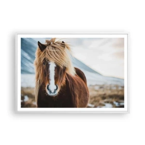 Poster în ramă albă - Simțiți libertatea? - 100x70 cm