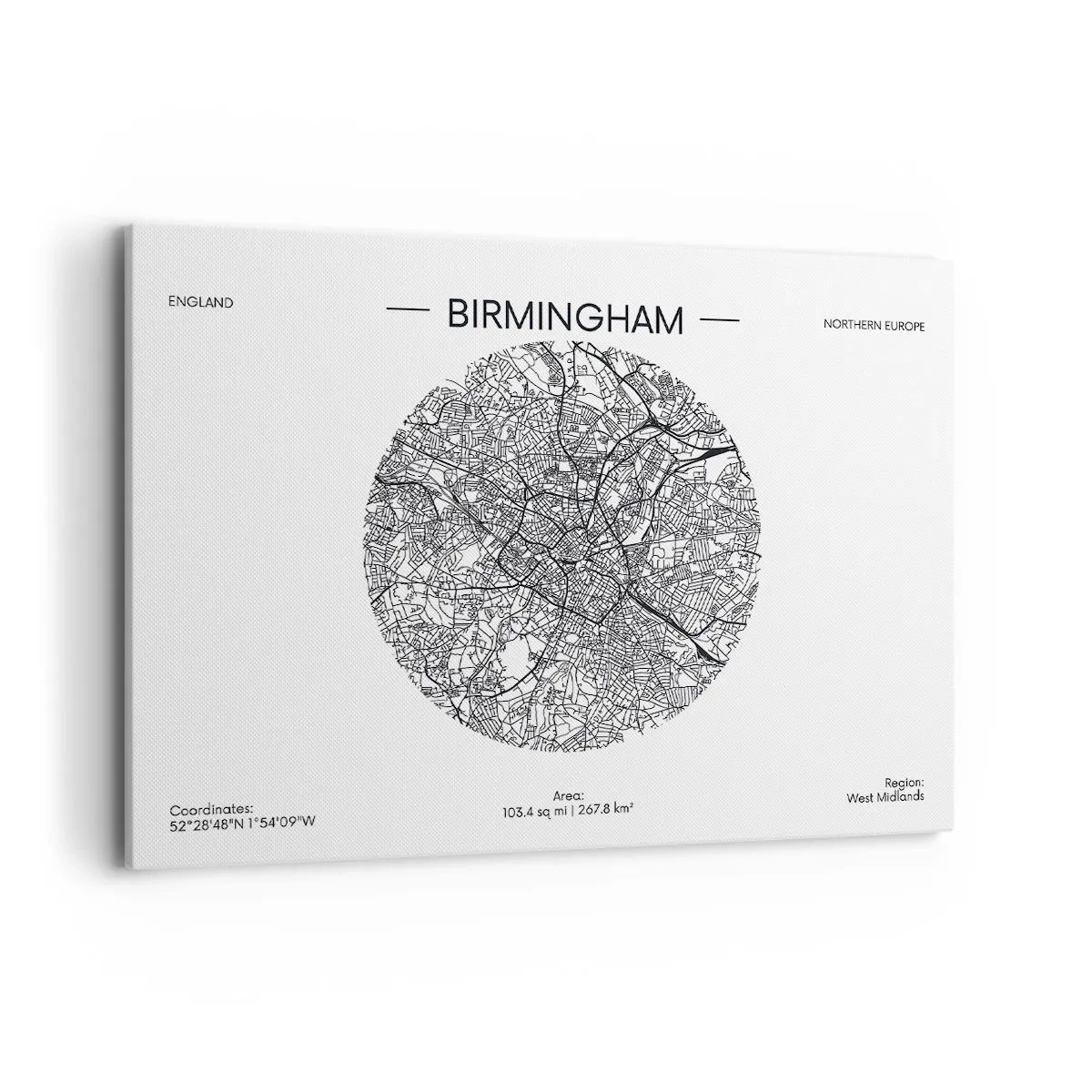 Tablou pe pânză - Anatomia Birmingham - 100x70 cm