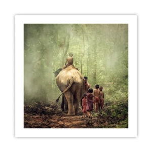 Poster - Noua Carte a Junglei - 50x50 cm