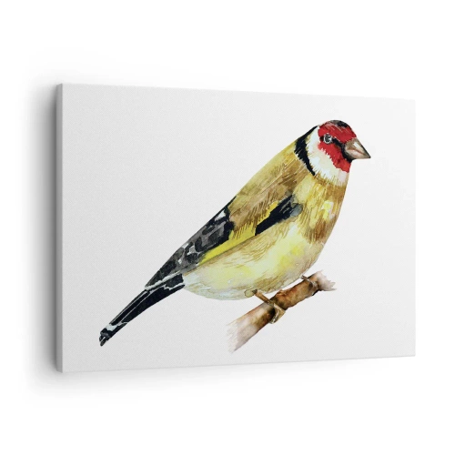 Tablou pe pânză Canvas - O pasăre cu capul roșu pe o creangă - 70x50cm - Portret de pasăre - Decorațiune modernă pentru perete pentru living și dormitor ARTTOR