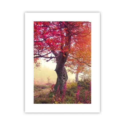 Poster - O frenezie de înflorire - 30x40 cm