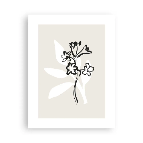 Poster - Schiță pentru ierbar - 30x40 cm